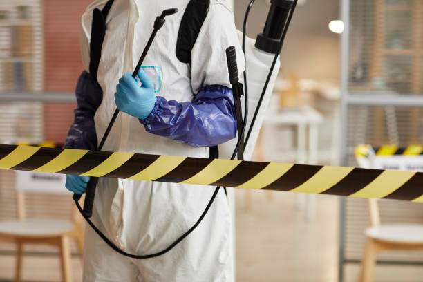 Professional Hoarding Cleanup technician working in Elizabethport, NJ